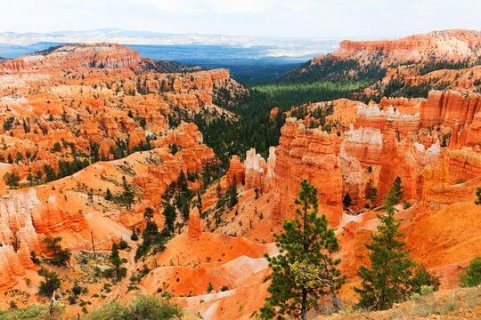 Tour image 5
